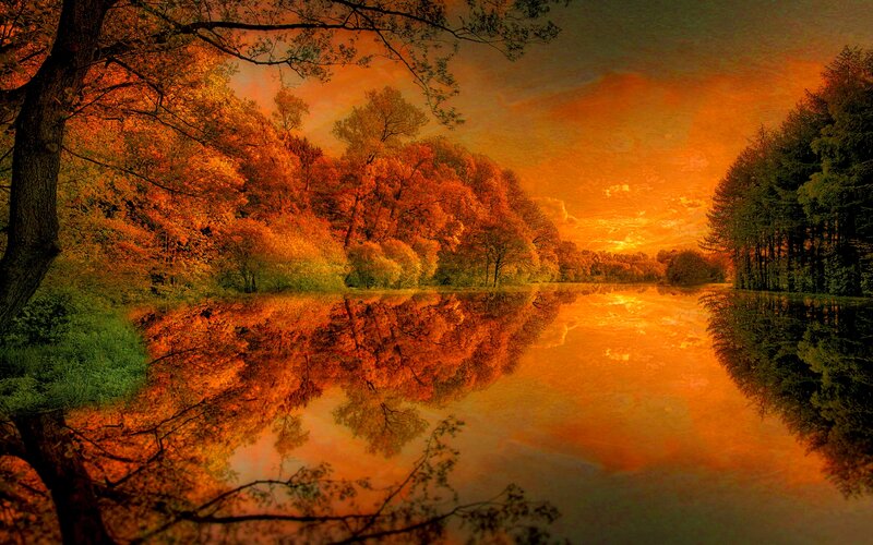 Autumn Forest Lake — Orange, Serene, Sunset, Photograph