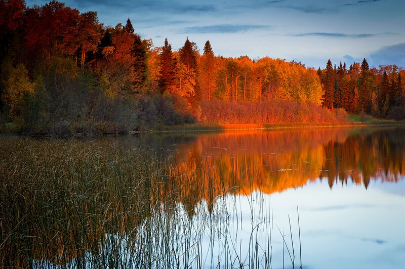 Autumn Forest Lake — Orange, Serene, Sunset, Photograph, Trees