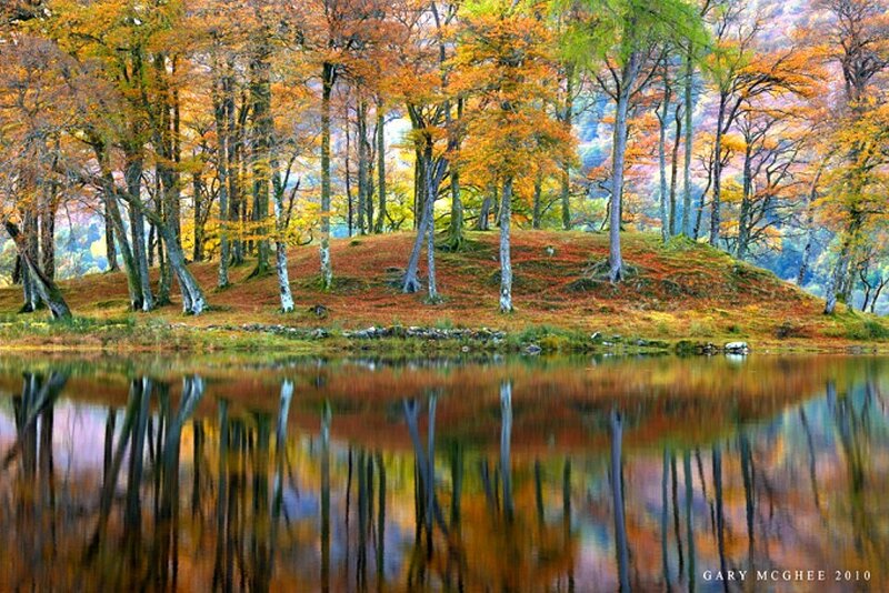 Autumn Forest Lake — Orange, Serene