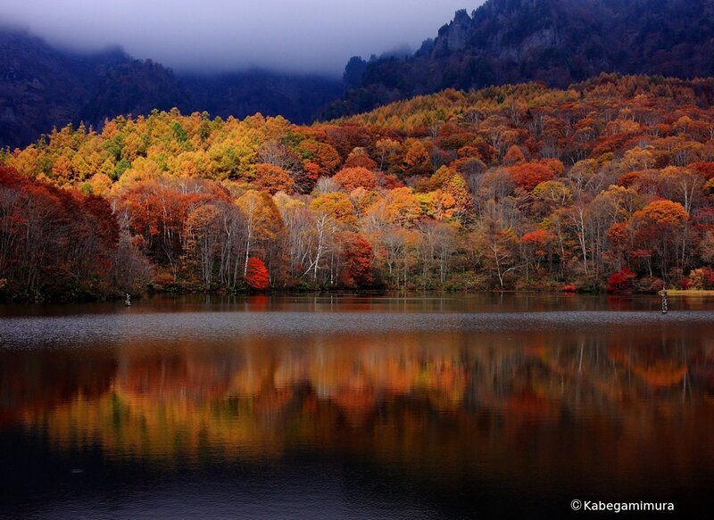 Autumn Forest Lake — Orange
