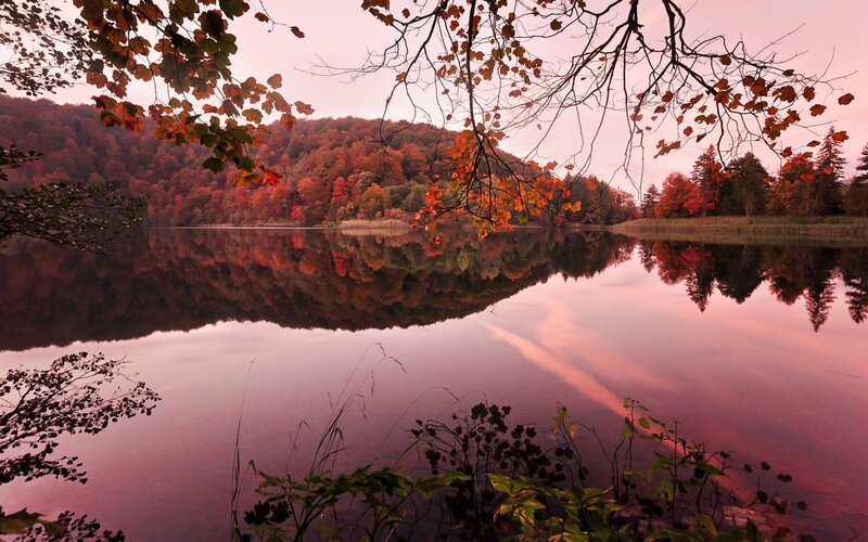 Autumn Forest Lake — Pink, Serene