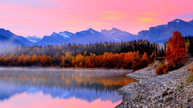 Autumn Forest Lake — Pink