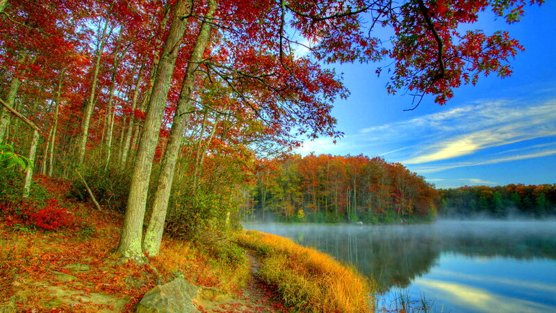 Autumn Forest Lake — Red, Serene, Morning, Photograph, Trees, Mist