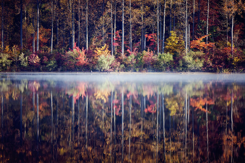 Autumn Forest Lake — Red, Serene, Morning, Photograph, Trees