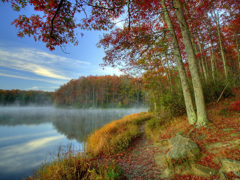 Autumn Forest Lake — Red, Serene, Morning