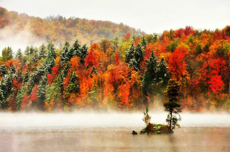 Autumn Forest Lake — Red, Serene, Photograph, Mist