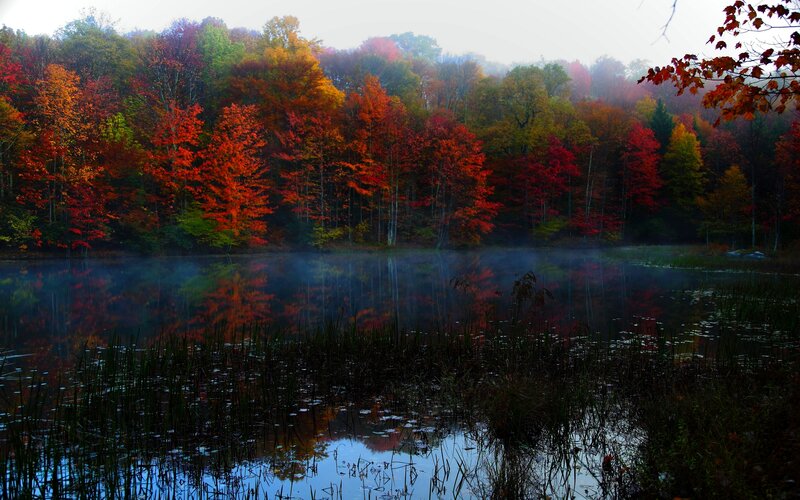 Autumn Forest Lake — Red, Serene, Photograph