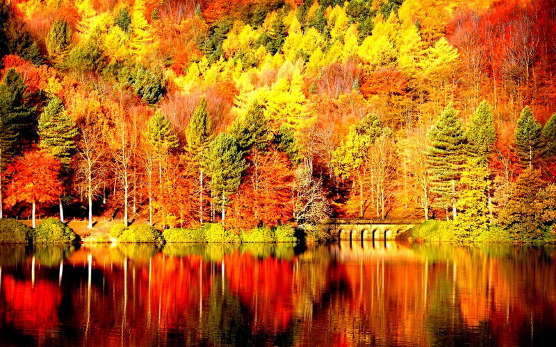 Autumn Forest Lake — Red, Serene, Photograph, Trees, Bridge