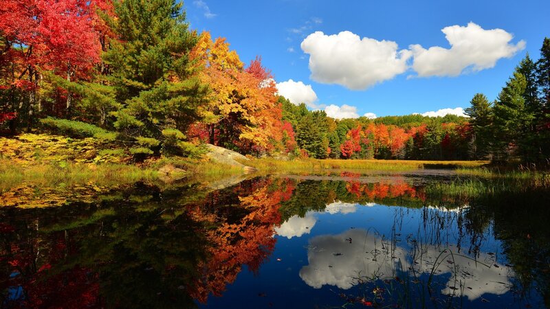 Autumn Forest Lake — Red, Serene, Photograph, Trees, Clouds