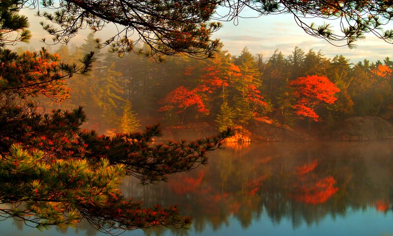 Autumn Forest Lake — Red, Serene, Photograph, Trees, Mist, Pine Branches