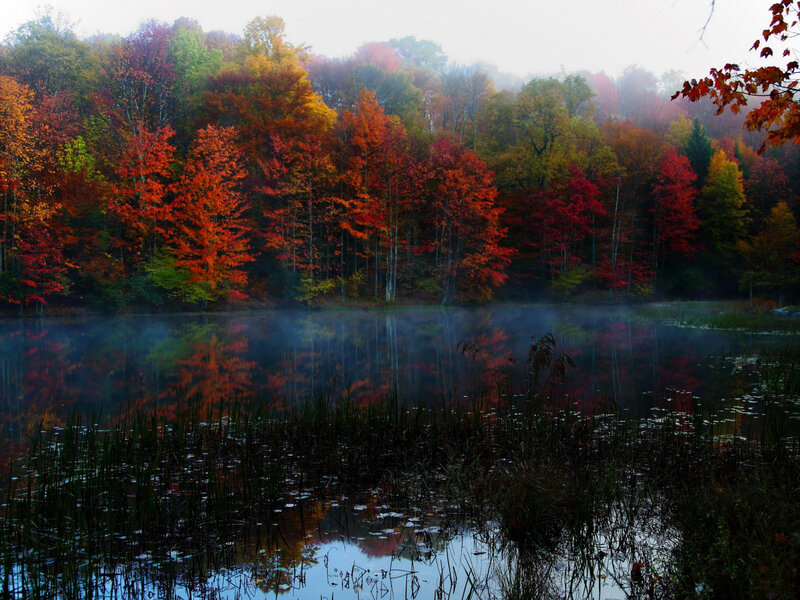 Autumn Forest Lake — Red, Serene, Photograph, Trees, Mist, Reflection