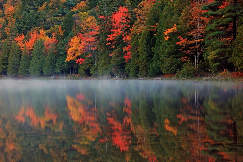 Autumn Forest Lake — Red, Serene, Photograph, Trees, Mist