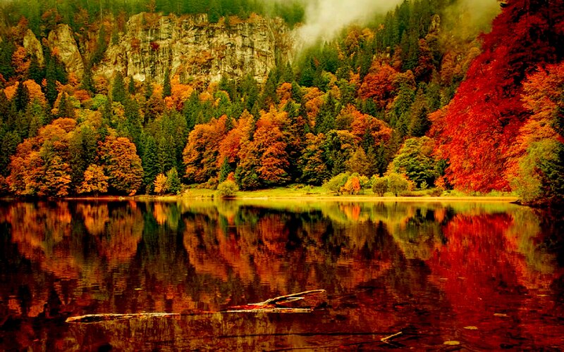 Autumn Forest Lake — Red, Serene, Photograph, Trees, Mountain, Reflection