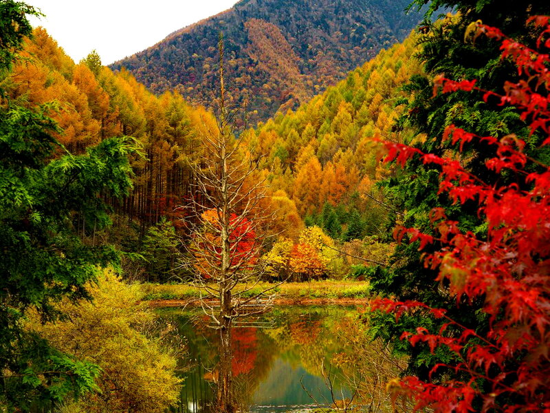 Autumn Forest Lake — Red, Serene, Photograph, Trees, Mountain