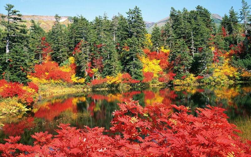 Autumn Forest Lake — Red, Serene, Photograph, Trees, Mountains, Reflection, Green