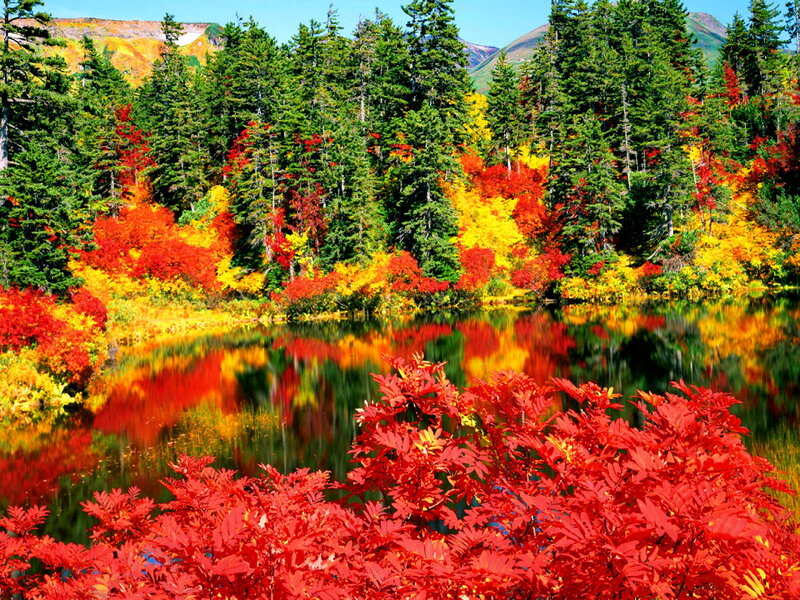 Autumn Forest Lake — Red, Serene, Photograph, Trees, Mountains, Reflection