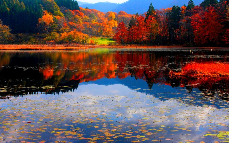 Autumn Forest Lake — Red, Serene, Photograph, Trees, Mountains