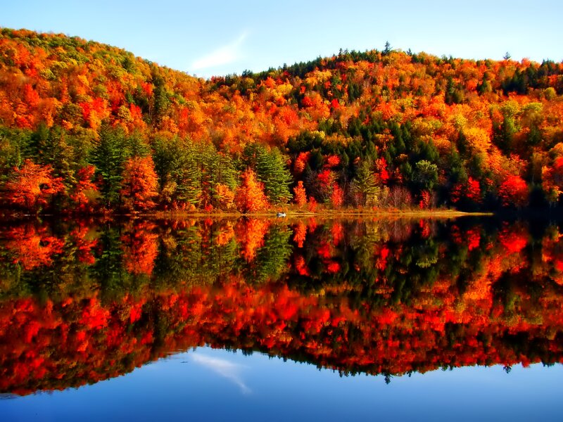 Autumn Forest Lake — Red, Serene, Photograph, Trees, Reflection, Boat