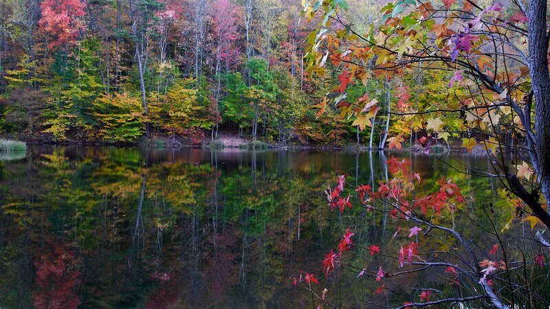 Autumn Forest Lake — Red, Serene, Photograph, Trees, Reflection, Branch