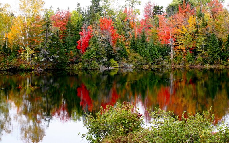 Autumn Forest Lake — Red, Serene, Photograph, Trees, Reflection, Bushes