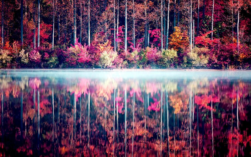 Autumn Forest Lake — Red, Serene, Photograph, Trees, Reflection, Mist