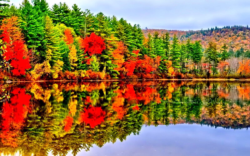 Autumn Forest Lake — Red, Serene, Photograph, Trees, Reflection, Mountain