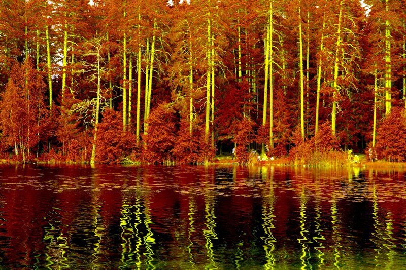 Autumn Forest Lake — Red, Serene, Photograph, Trees, Reflection, People
