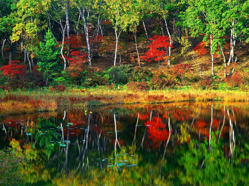 Autumn Forest Lake — Red, Serene, Photograph, Trees, Reflection, Pond