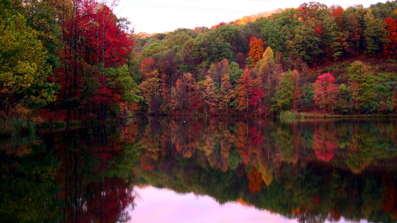 Autumn Forest Lake — Red, Serene, Photograph, Trees, Reflection, Power Lines