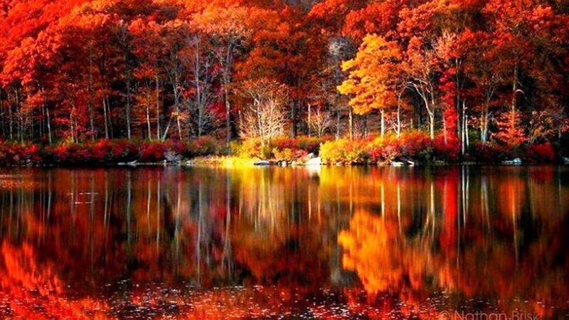 Autumn Forest Lake — Red, Serene, Photograph, Trees, Reflection, River