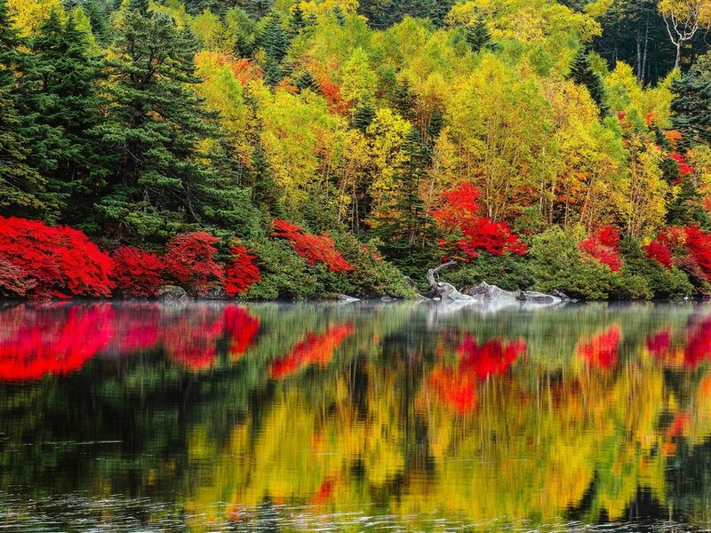 Autumn Forest Lake — Red, Serene, Photograph, Trees, Reflection, Rocks