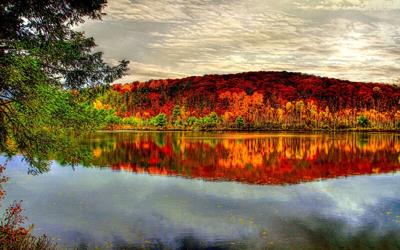 Autumn Forest Lake — Red, Serene, Photograph, Trees, Reflection