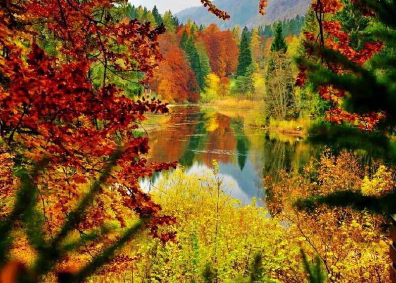 Autumn Forest Lake — Red, Serene, Photograph, Trees, River