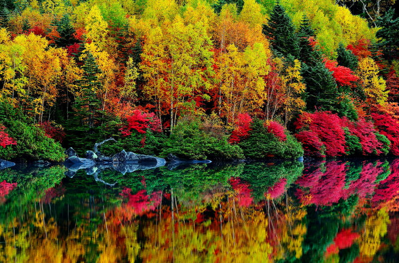 Autumn Forest Lake — Red, Serene, Photograph, Trees, Rocks, Reflection