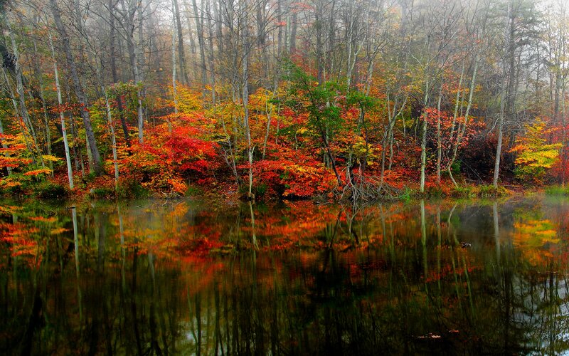 Autumn Forest Lake — Red, Serene, Photograph, Trees