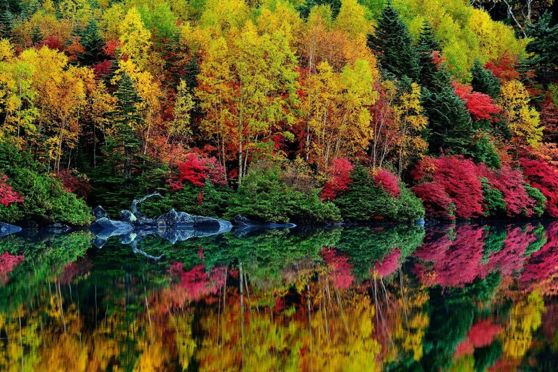 Autumn Forest Lake — Red, Serene, Photograph, Trees, Water, Rocks