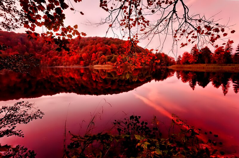 Autumn Forest Lake — Red, Serene, Sunset, Photograph