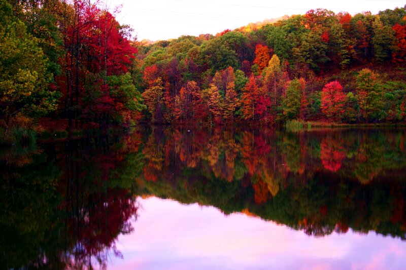Autumn Forest Lake — Red, Serene, Sunset, Photograph, Trees, Reflection