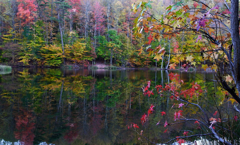 Autumn Forest Lake — Red, Serene