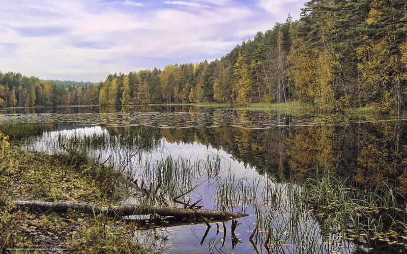 Autumn forest lake reflection