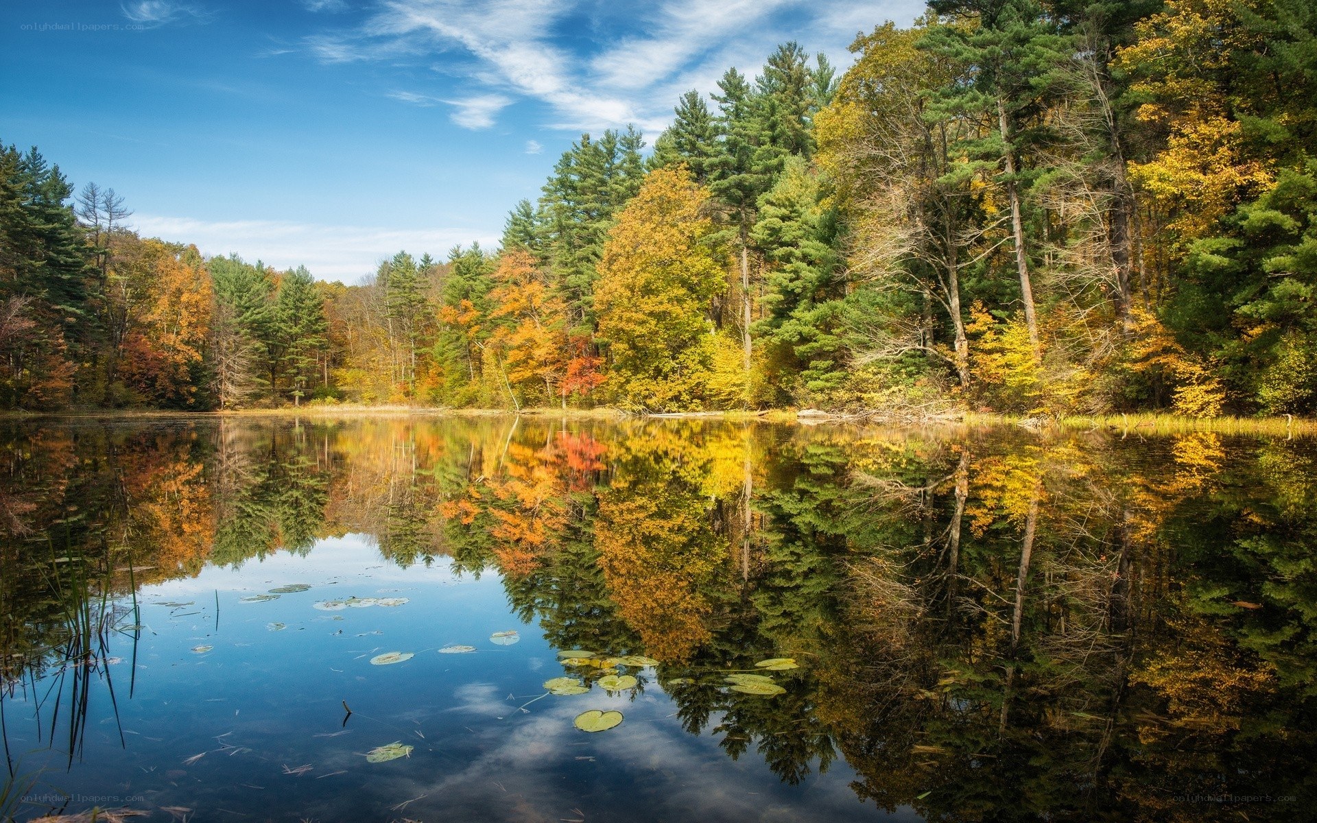 Autumn forest lake reflection