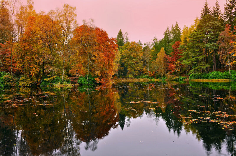 Autumn forest lake reflection