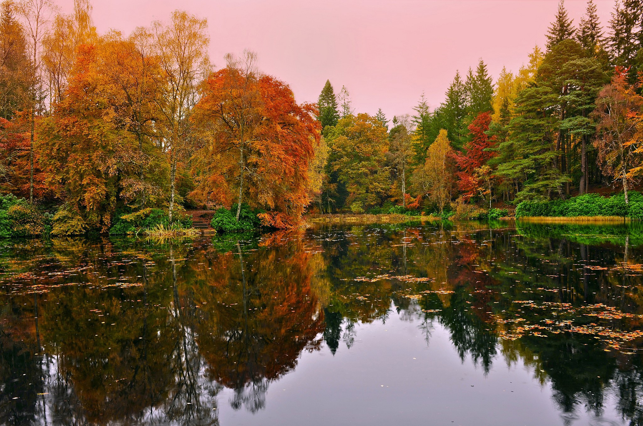 Autumn forest lake reflection