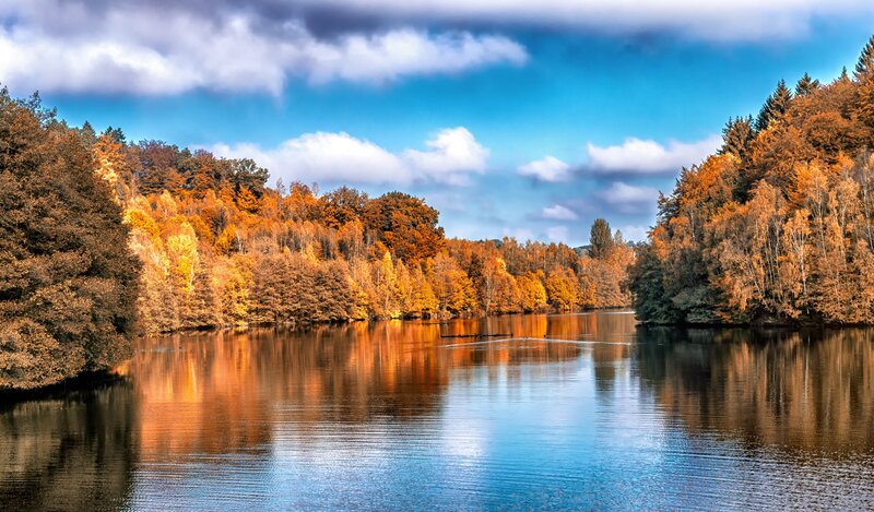 Autumn forest lake reflection