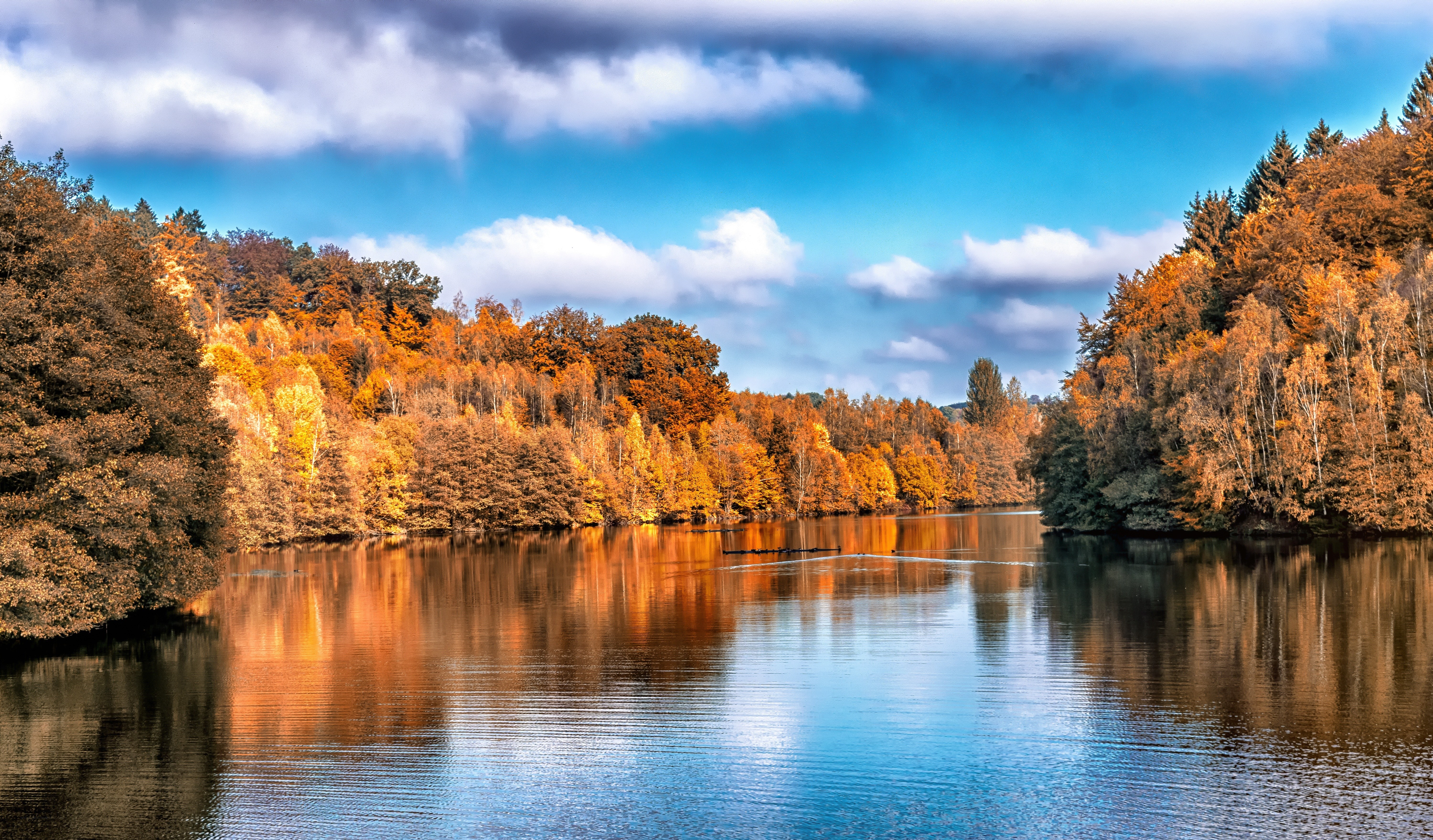 Autumn forest lake reflection