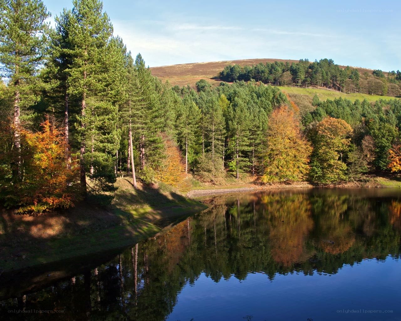 Autumn forest lake reflection
