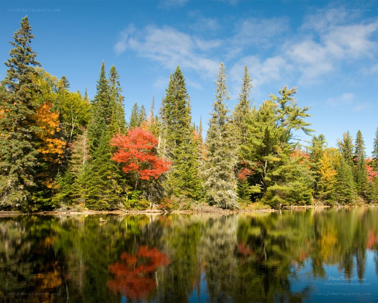 Autumn forest lake reflection