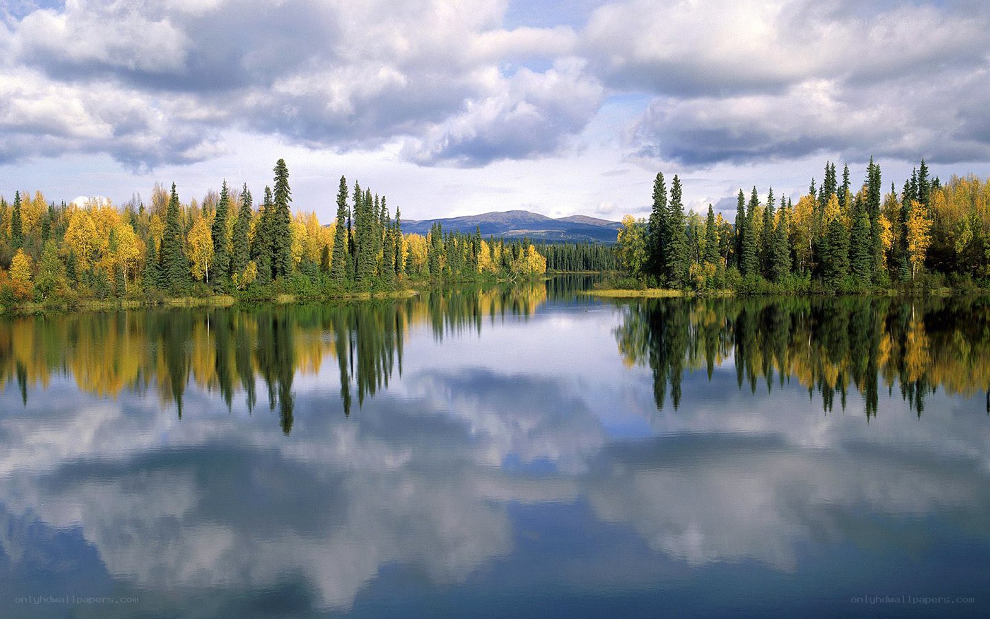 Autumn forest lake reflection