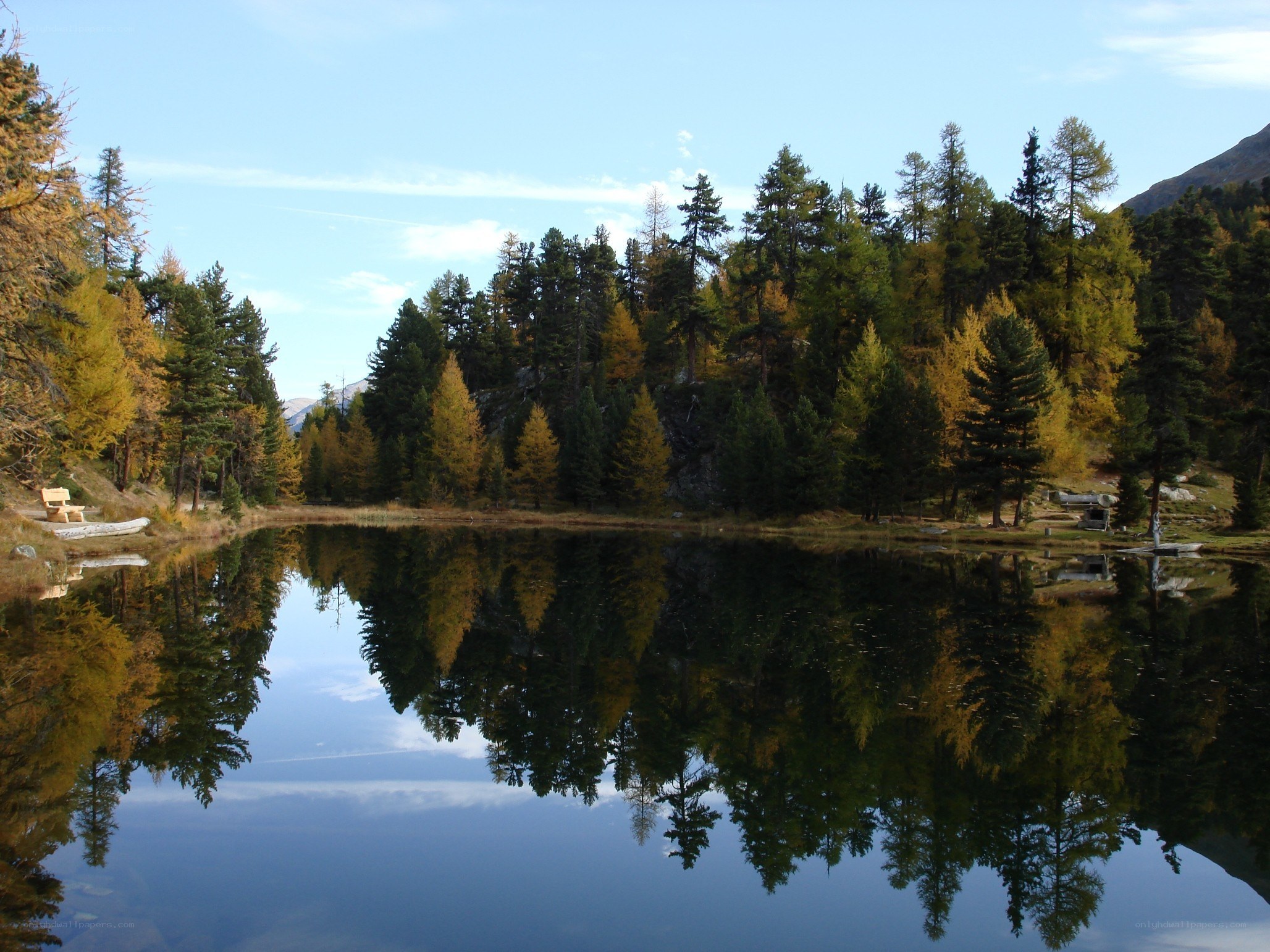Autumn forest lake reflection
