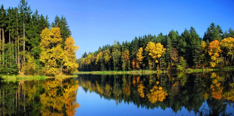 Autumn forest lake reflection